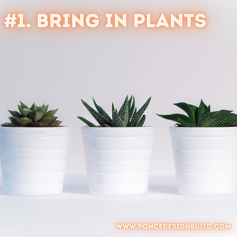 Bring in plants.